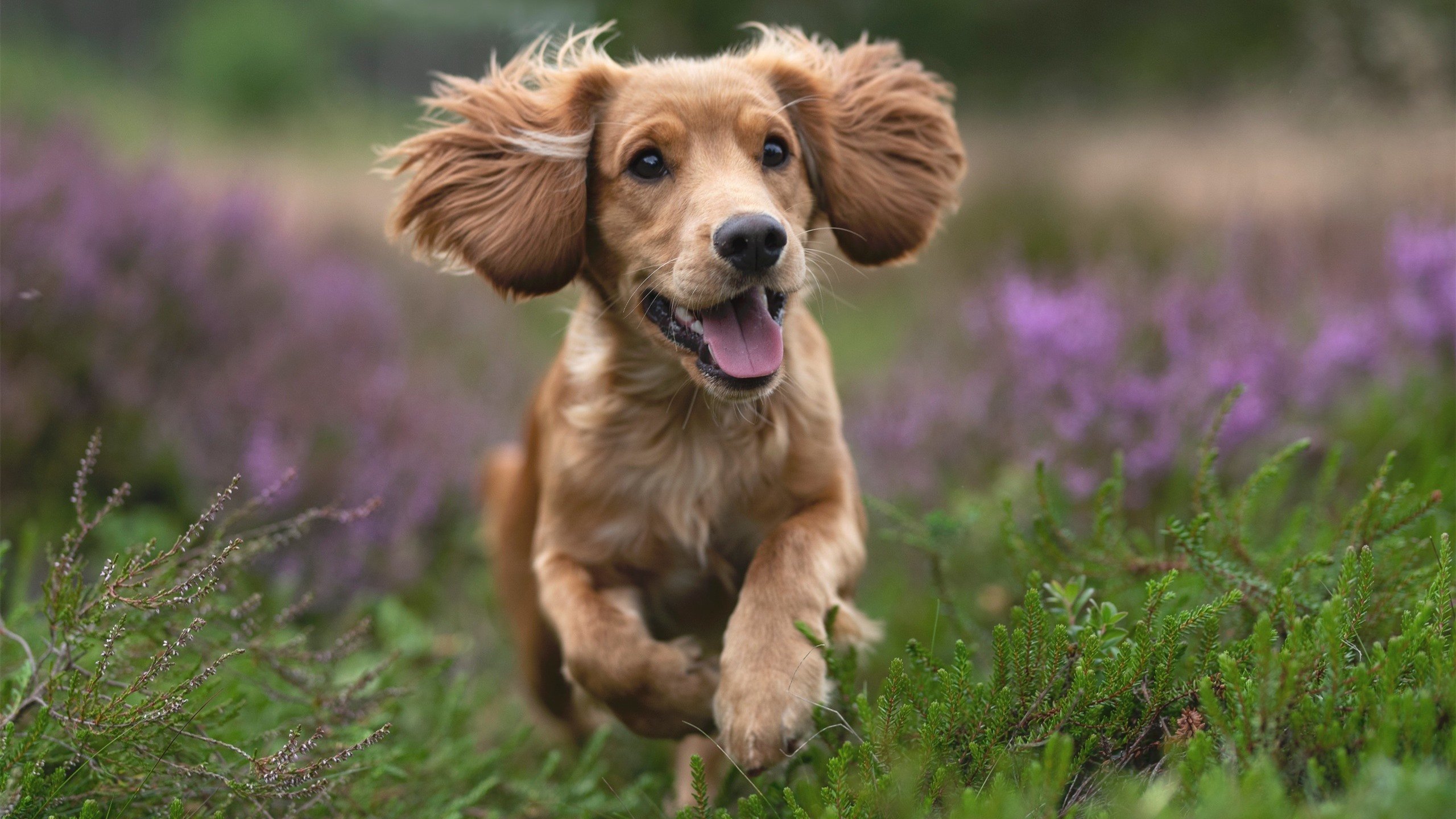 开云-字母哥空降山西引爆篮球宇宙！淘汰赛斩奇才，这剧本谁敢信？