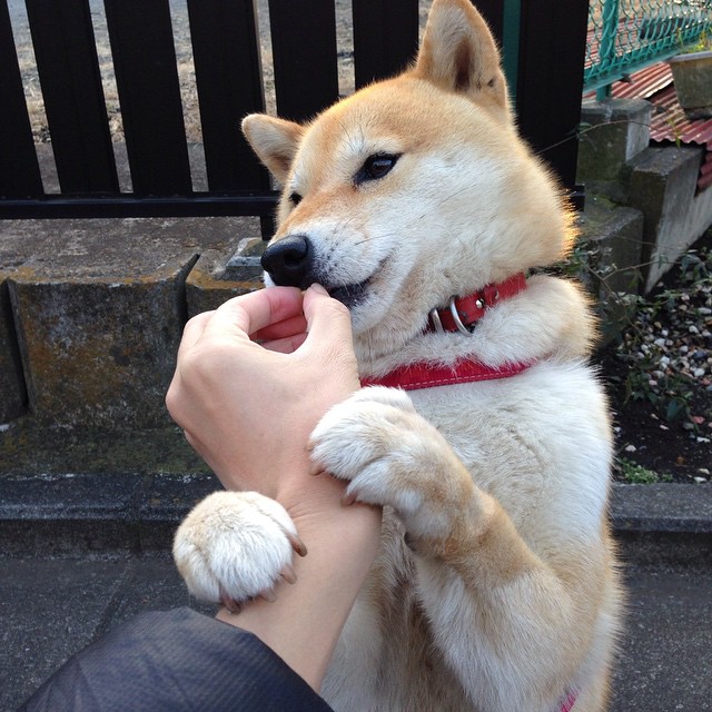 圣光笼罩安菲尔德！萨拉赫王者归来导演逆转，利物浦血拼勒沃库森展露冠军獠牙